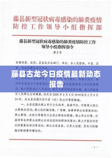 藤县古龙今日疫情最新动态报告