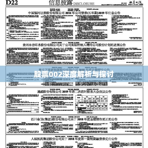 股票002深度解析与探讨