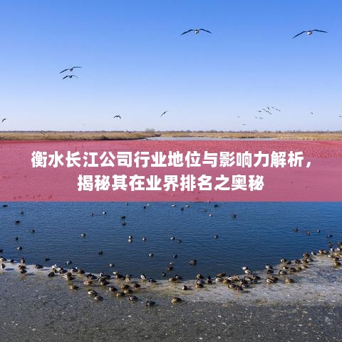 衡水长江公司行业地位与影响力解析，揭秘其在业界排名之奥秘