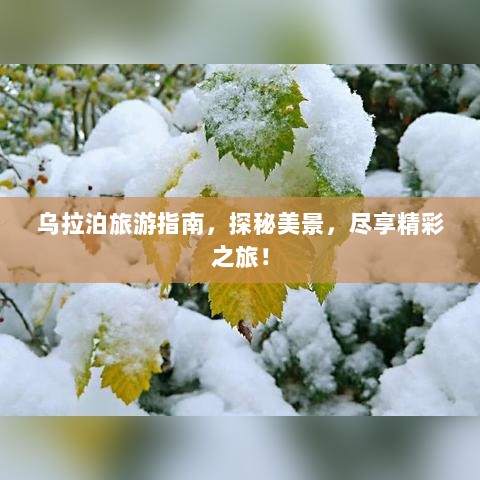 乌拉泊旅游指南，探秘美景，尽享精彩之旅！