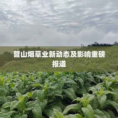 营山烟草业新动态及影响重磅报道