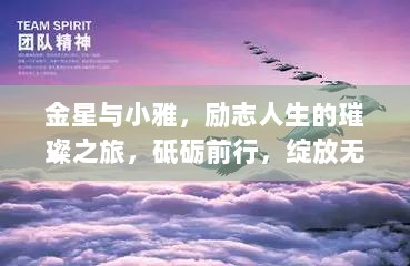 金星与小雅，励志人生的璀璨之旅，砥砺前行，绽放无限光芒