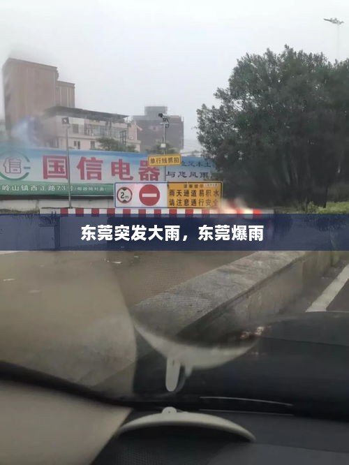 东莞突发大雨，东莞爆雨 