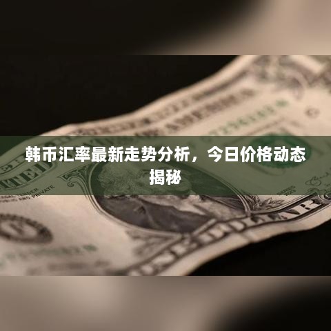 韩币汇率最新走势分析，今日价格动态揭秘