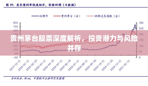 贵州茅台股票深度解析，投资潜力与风险并存