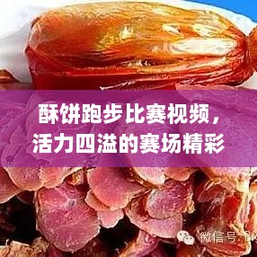 酥饼跑步比赛视频，活力四溢的赛场精彩瞬间回顾