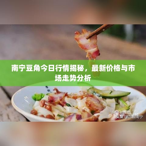 南宁豆角今日行情揭秘，最新价格与市场走势分析