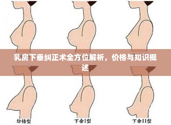 乳房下垂纠正术全方位解析，价格与知识概述