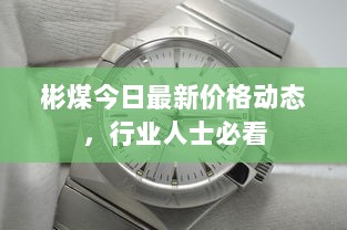 彬煤今日最新价格动态，行业人士必看