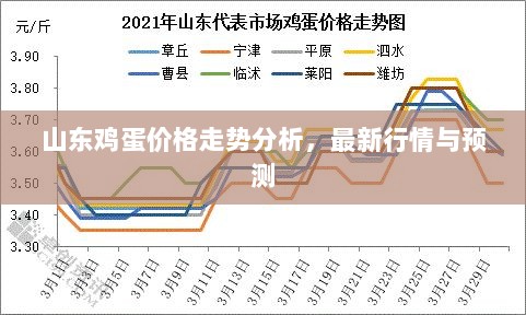 山东鸡蛋价格走势分析，最新行情与预测