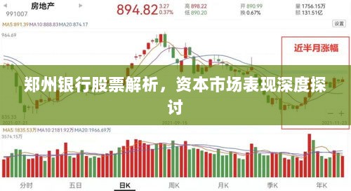 郑州银行股票解析，资本市场表现深度探讨