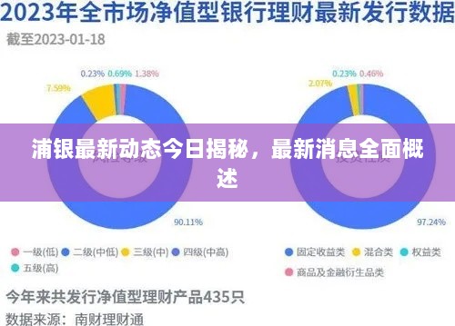 浦银最新动态今日揭秘，最新消息全面概述