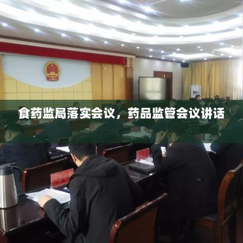 食药监局落实会议，药品监管会议讲话 