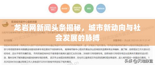 龙岩网新闻头条揭秘，城市新动向与社会发展的脉搏