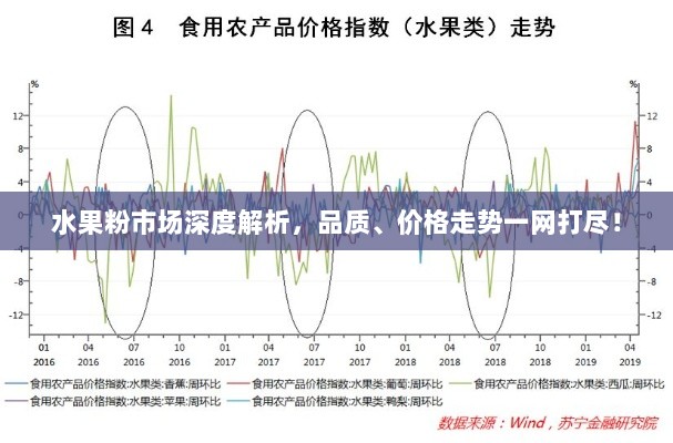 水果粉市场深度解析，品质、价格走势一网打尽！