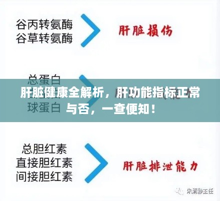 肝脏健康全解析，肝功能指标正常与否，一查便知！