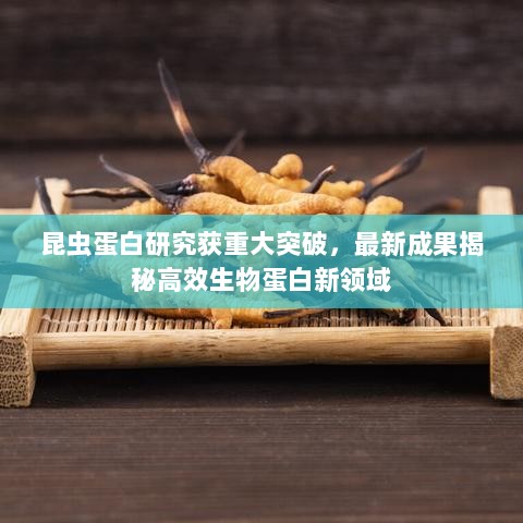 昆虫蛋白研究获重大突破，最新成果揭秘高效生物蛋白新领域