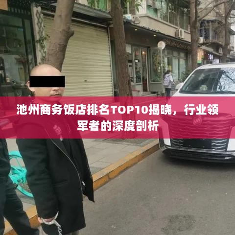 池州商务饭店排名TOP10揭晓，行业领军者的深度剖析