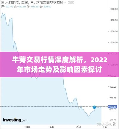 牛蒡交易行情深度解析，2022年市场走势及影响因素探讨