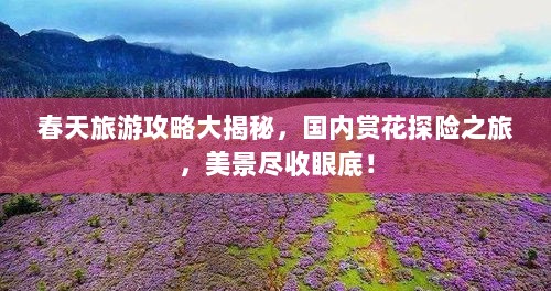 春天旅游攻略大揭秘，国内赏花探险之旅，美景尽收眼底！