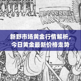 新野市场黄金行情解析，今日黄金最新价格走势