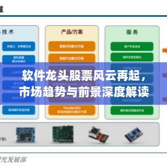 软件龙头股票风云再起，市场趋势与前景深度解读