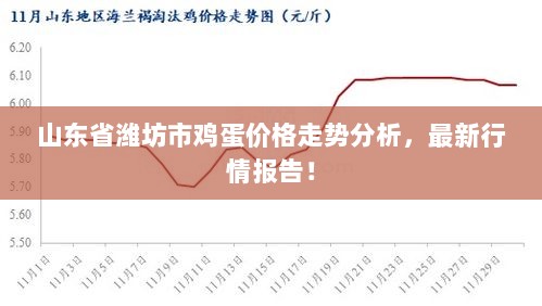 山东省潍坊市鸡蛋价格走势分析，最新行情报告！