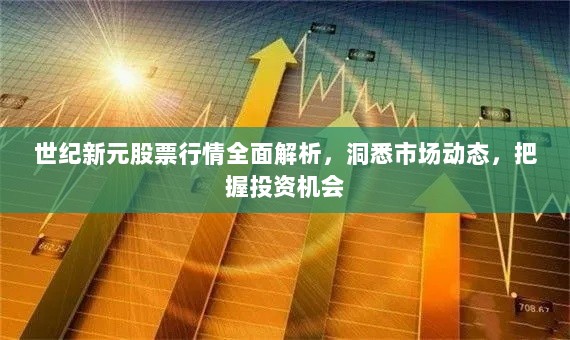 世纪新元股票行情全面解析，洞悉市场动态，把握投资机会