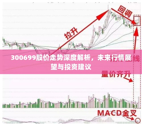 300699股价走势深度解析，未来行情展望与投资建议