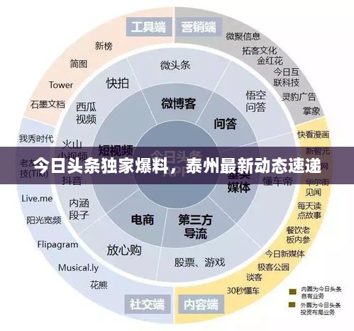 今日头条独家爆料，泰州最新动态速递