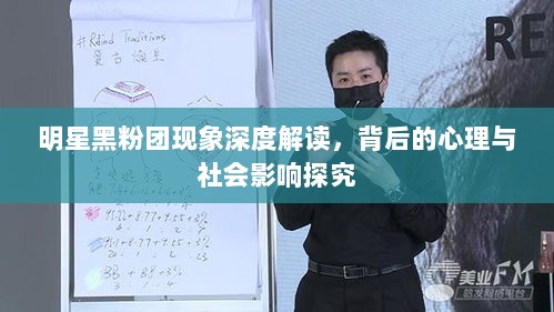 明星黑粉团现象深度解读，背后的心理与社会影响探究