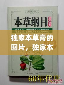 独家本草膏的图片，独家本草膏多少钱一支效果咋样 