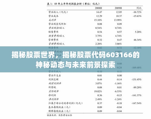 揭秘股票世界，揭秘股票代码603166的神秘动态与未来前景探索