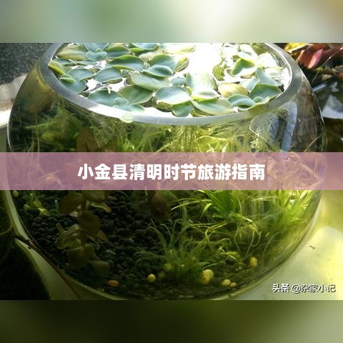 小金县清明时节旅游指南