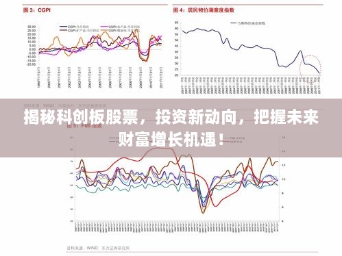 揭秘科创板股票，投资新动向，把握未来财富增长机遇！