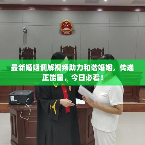 最新婚姻调解视频助力和谐婚姻，传递正能量，今日必看！