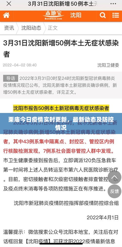 栗庙今日疫情实时更新，最新动态及防控情况