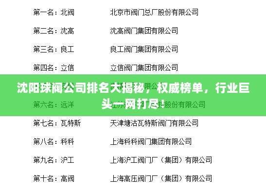 沈阳球阀公司排名大揭秘，权威榜单，行业巨头一网打尽！