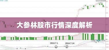 大参林股市行情深度解析