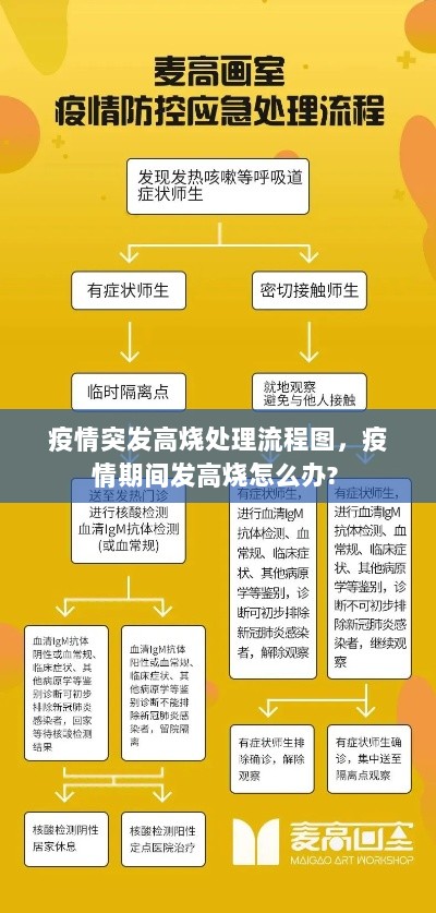 疫情突发高烧处理流程图，疫情期间发高烧怎么办? 