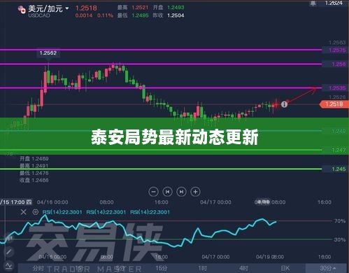 泰安局势最新动态更新