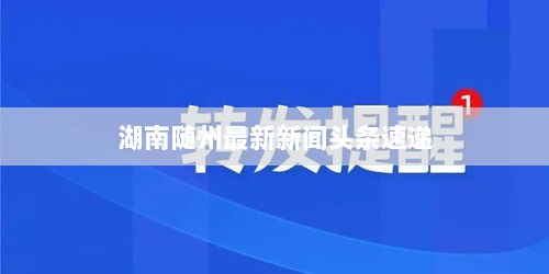 湖南随州最新新闻头条速递