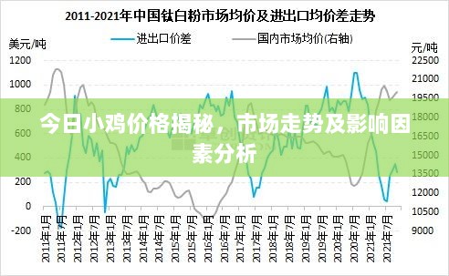 今日小鸡价格揭秘，市场走势及影响因素分析