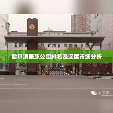 哈尔滨兼职公司排名及深度市场分析