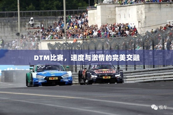 DTM比赛，速度与激情的完美交融