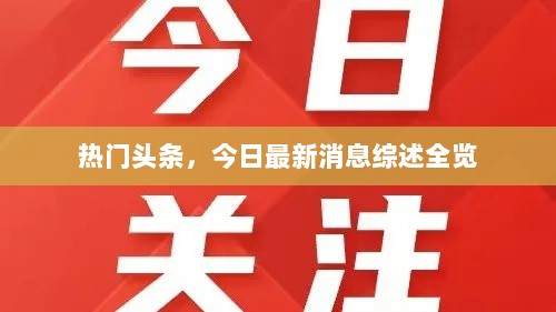 热门头条，今日最新消息综述全览