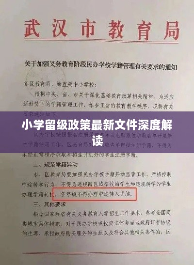 小学留级政策最新文件深度解读