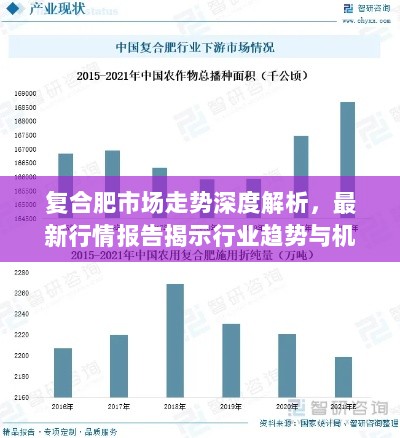 复合肥市场走势深度解析，最新行情报告揭示行业趋势与机遇！