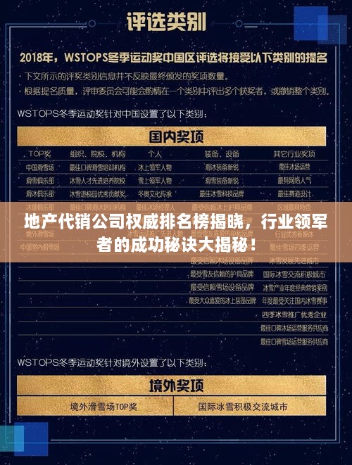 地产代销公司权威排名榜揭晓，行业领军者的成功秘诀大揭秘！