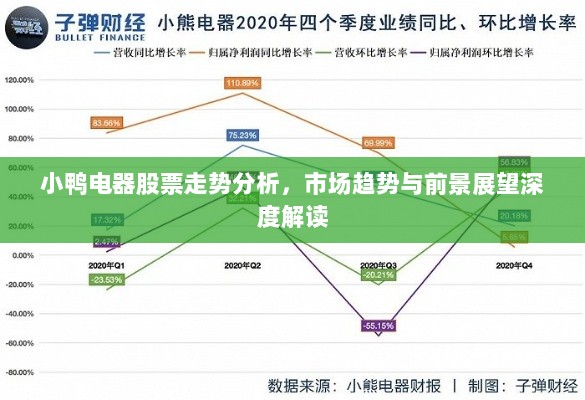 小鸭电器股票走势分析，市场趋势与前景展望深度解读